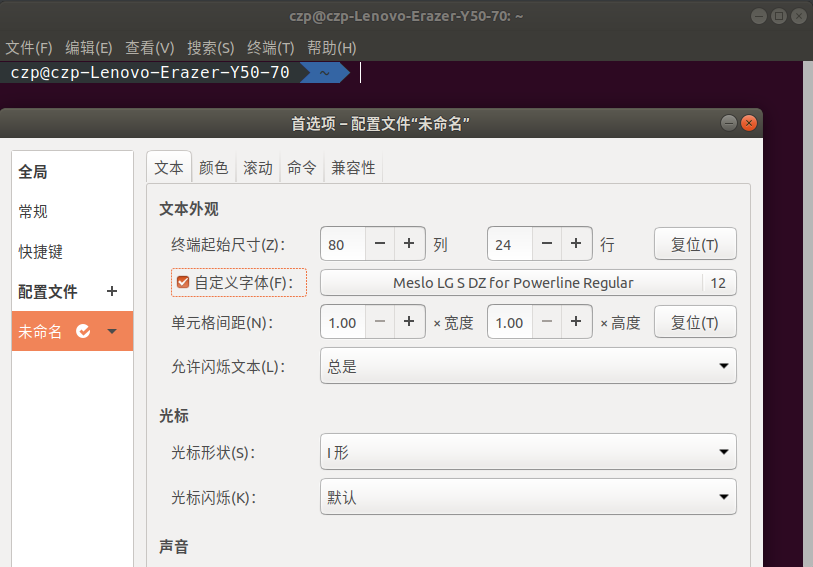 ubuntu 终端首选项